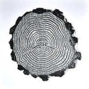 Tree Rings
