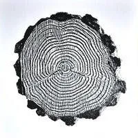 Tree Rings